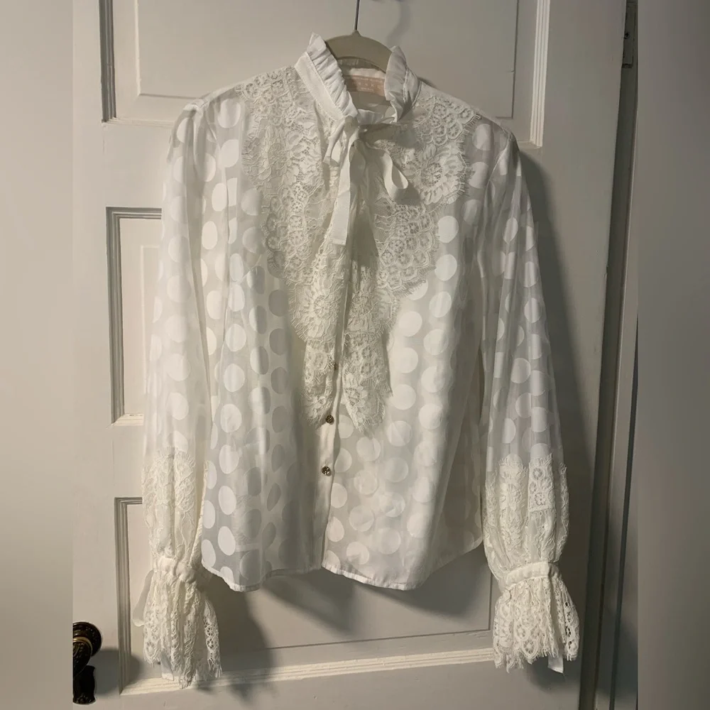 Keepsake Sheer Ruffle Blouse - Picture 8 of 15